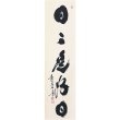 画像2: 茶掛けの書　掛軸　墨蹟　日々是好日 (2)